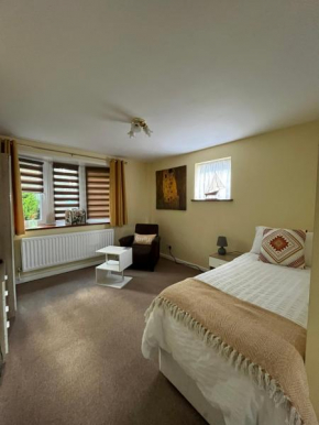 Quest Fulfiller - Near General Hospital, Free Parking & Garden